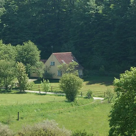 Snowwhites House בורה